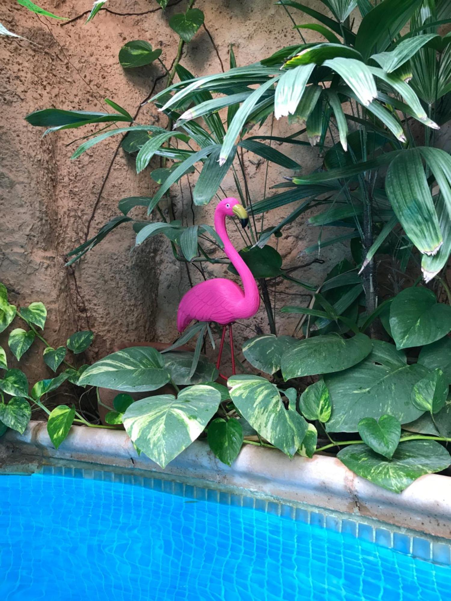 Tropical Oasis Apartment Ouakam Ngoại thất bức ảnh