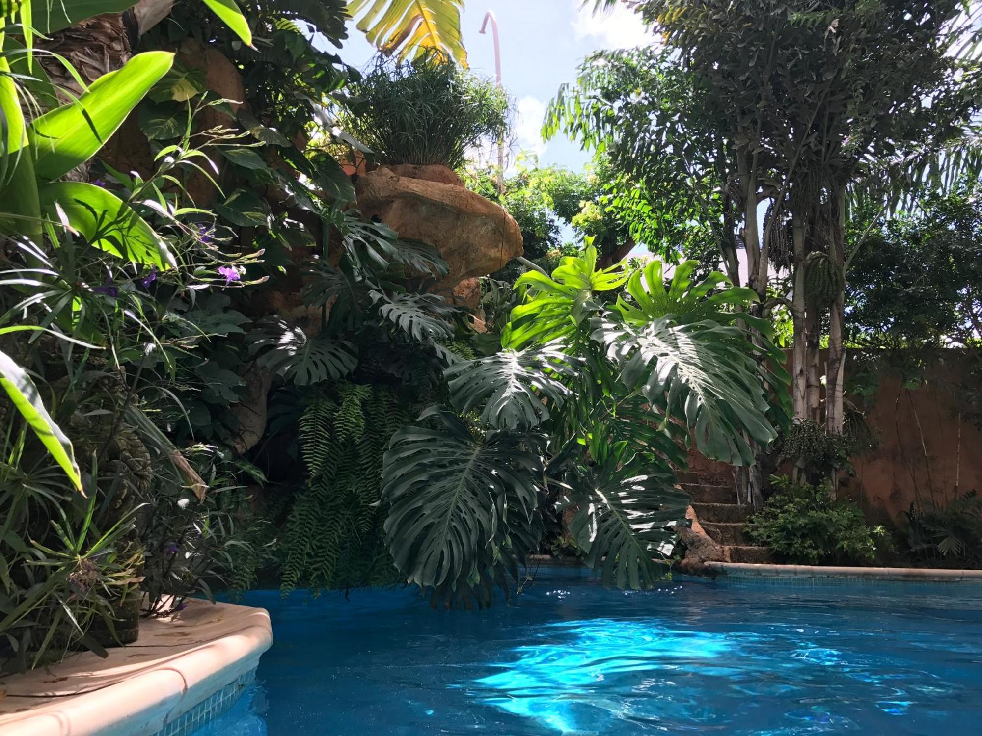 Tropical Oasis Apartment Ouakam Ngoại thất bức ảnh